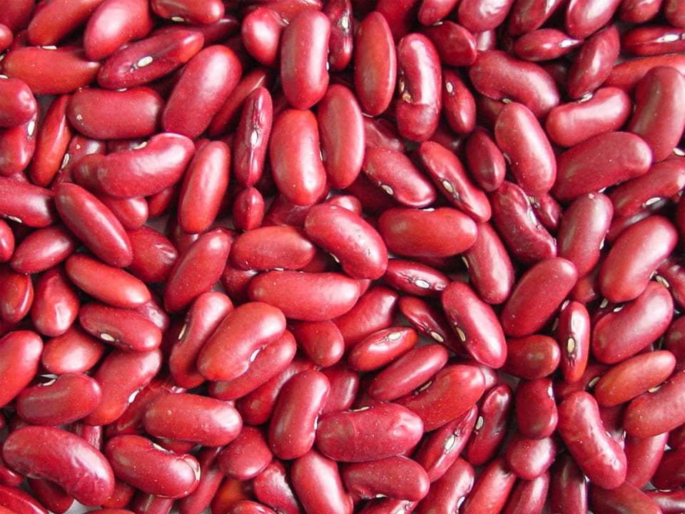 Organic Red kidney beans at best price from Ethiopia from SAMETHA TRADING PLC 