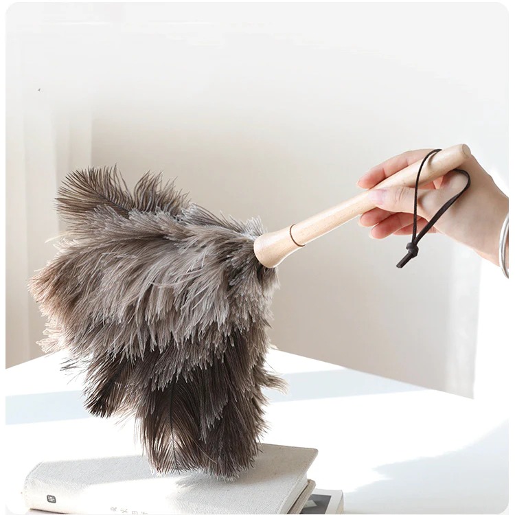 Ostrich Feather Dusters