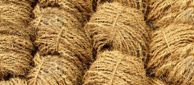 Coir Yarn From Jeevasri Exports from JEEVASRI EXPORTS