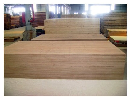 BWR Plywood from Shree Jeen Plywood