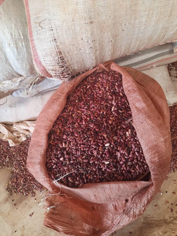 Organic Speckled Kidney Beans at best price from Ethiopia from SAMETHA TRADING PLC 