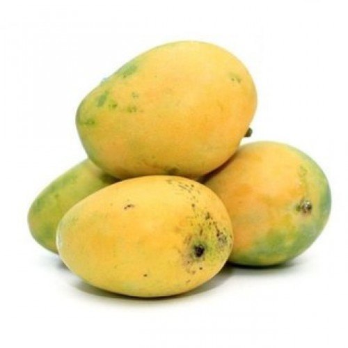 Banganapalli Mangoes((Bulk Supplies Volume Business Only)) from Mithuna Foods