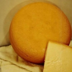 Indian Cheese (Alpine Gouda) from Fortune Gourmet Spl Pvt Ltd