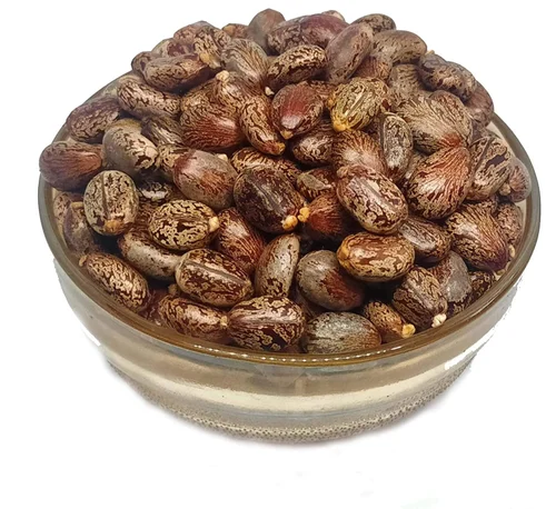 Organic Castor Seeds from KAPADIYA EXPO COMPANY