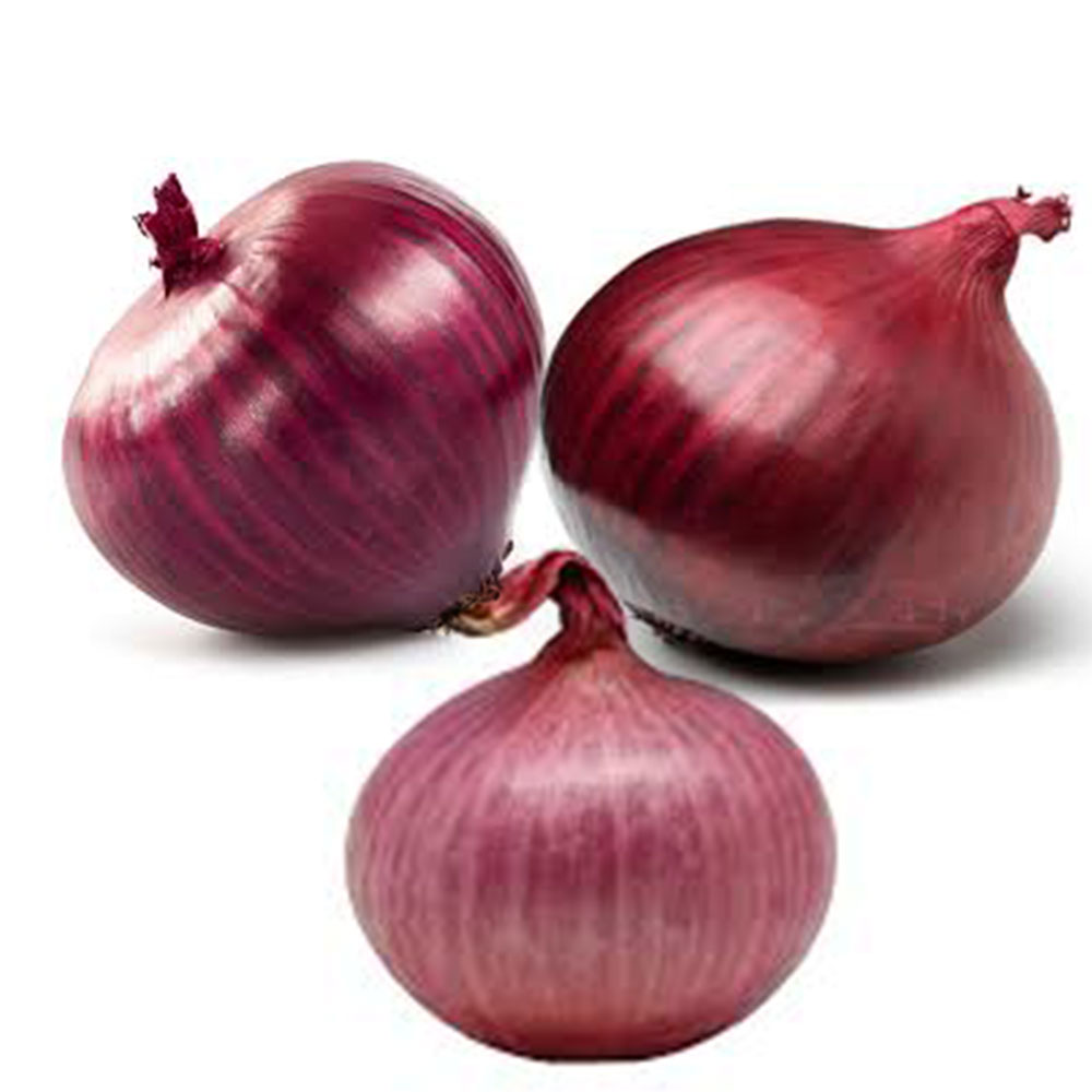 RED ONION FROM PRAMODA EXIM CORPORATION from PRAMODA EXIM CORPORATION
