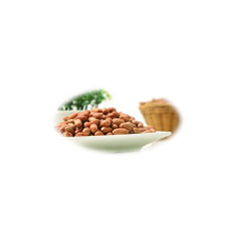 GROUNDNUT TYPES OF GG-20 from UB dada World Expoter