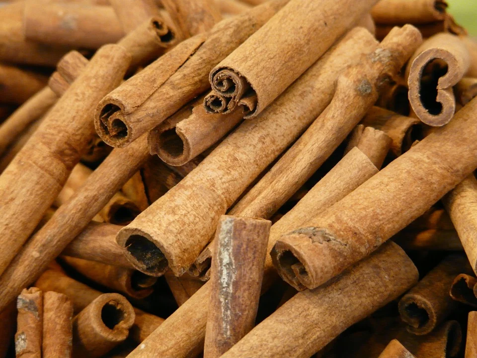 Cinnamon/Cinnamomum verum from ALISONS GENERAL TRADING LLP