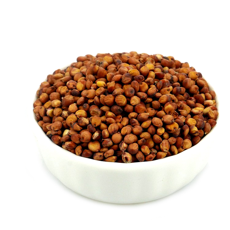 sorghum human sorghum grain from Doris Foods Agroservice