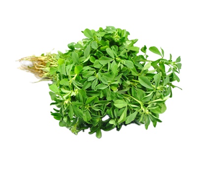 Fenugreek Leaves from Masterlink Malawi