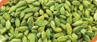 Organic Green Cardamom from Riddhi Dry Fruits