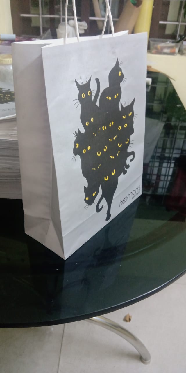 DESIGNER PRINTED PAPER BAG from Aru Paper Bags
