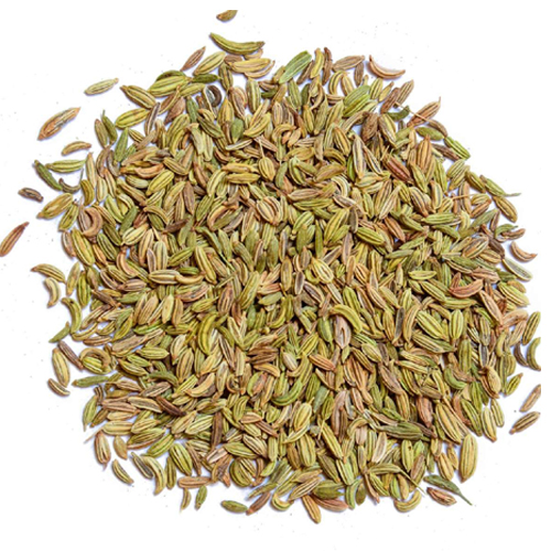 High Quality Fresh Fennel Seeds from BOS Natural Flavors P Ltd 