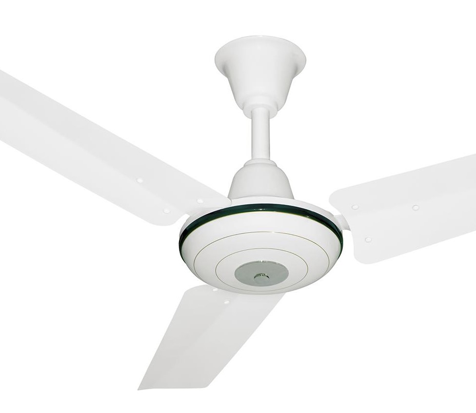 Royal Deluxe Ceiling Fan from royal fans 