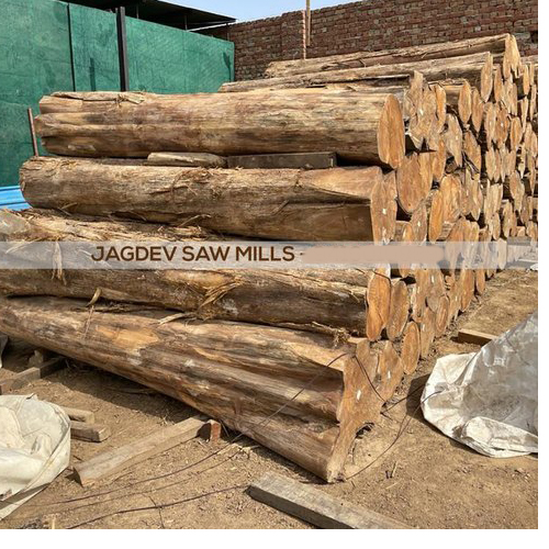 25mm Thick 10 Feet Brown Mp Teak Wood For Outdoor Furniture from Jagdev Saw Mills