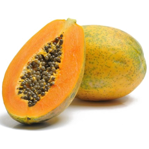 Fresh & Organic Papaya from EXPO TRADING
