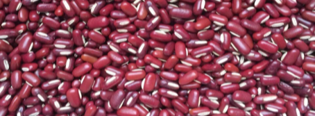 Red Bamboo Beans from AUREA INTERNACIONAL 