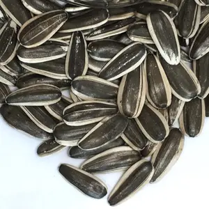 Sun Flower Seed from Kudron Commodities