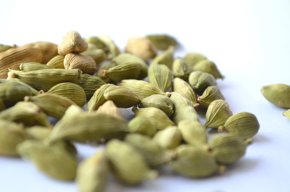 Green Cardamom/Elettaria cardamomum from ALISONS GENERAL TRADING LLP