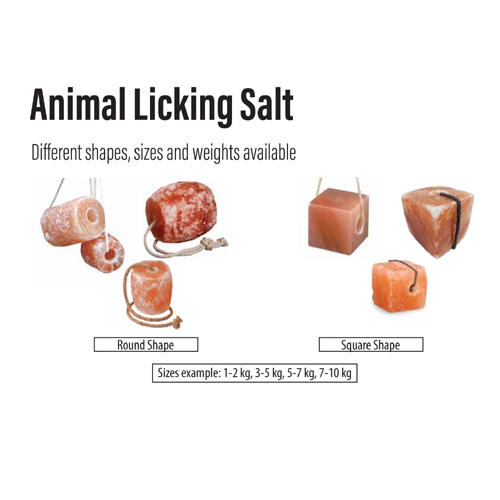 Animal Licking Salt - Different Size, Shapes & Weight from Gunnu Enterprises