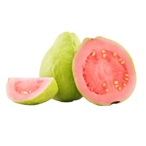 A Grade Red guava at Wholesale Price from EXPO TRADING