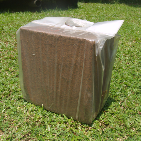 Coir Peat 25kg Bales in Coimbatore By Green Root Overseas