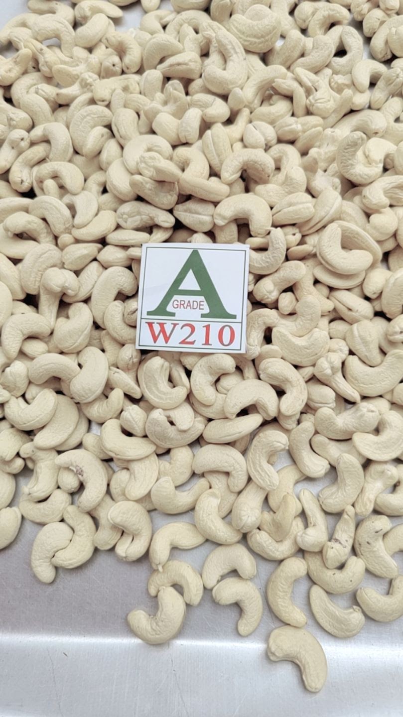 Premium Quality Cashew Nuts Grade - AW210 from Aditya Nuts & Spices 