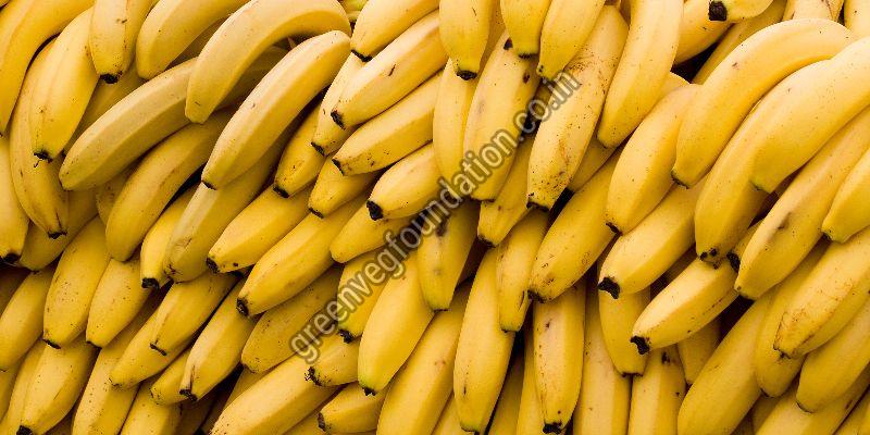 Export Quality Fresh Banana from Green Veg Foundation(NGO)