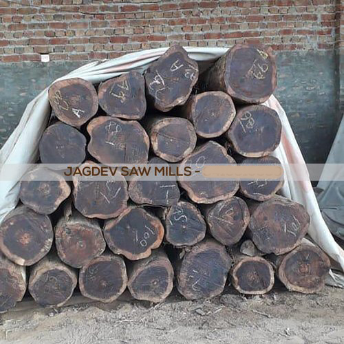 24mm Thick 10 Feet Black Indian Teak Wood from Jagdev Saw Mills