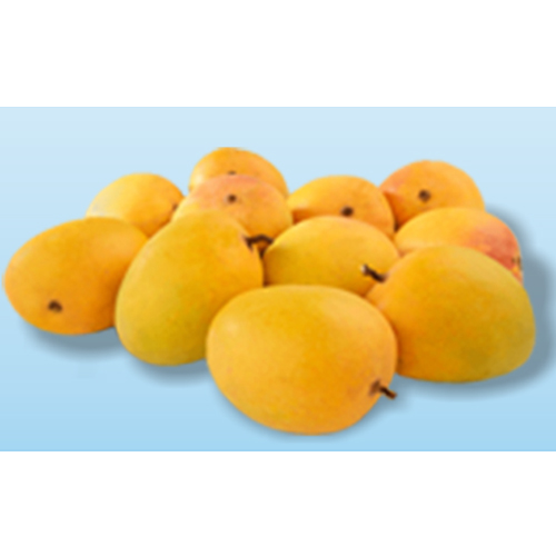 Best Quality Alphonso Mangoes from Ranee's Fresh