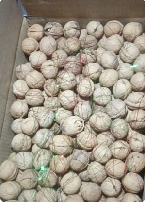 Kashmiri Paper Sheel Walnut from Riddhi Dry Fruits