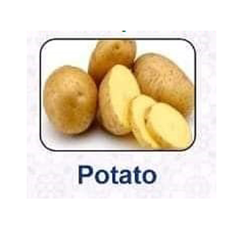 Best A Grade Export Quality Potato from SMALL MARKET EXIM India
