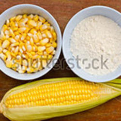 Maize Starch / Corn Flour from Agarwal Industries Pvt LTD