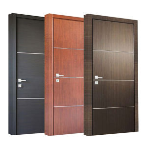 Different Design Flush Doors from Laxmi Enterprise