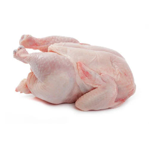 Fresh chilled and frozen Chicken Meat from YABEKAN meats, seeds, herbs, fruits and vagitables export company 