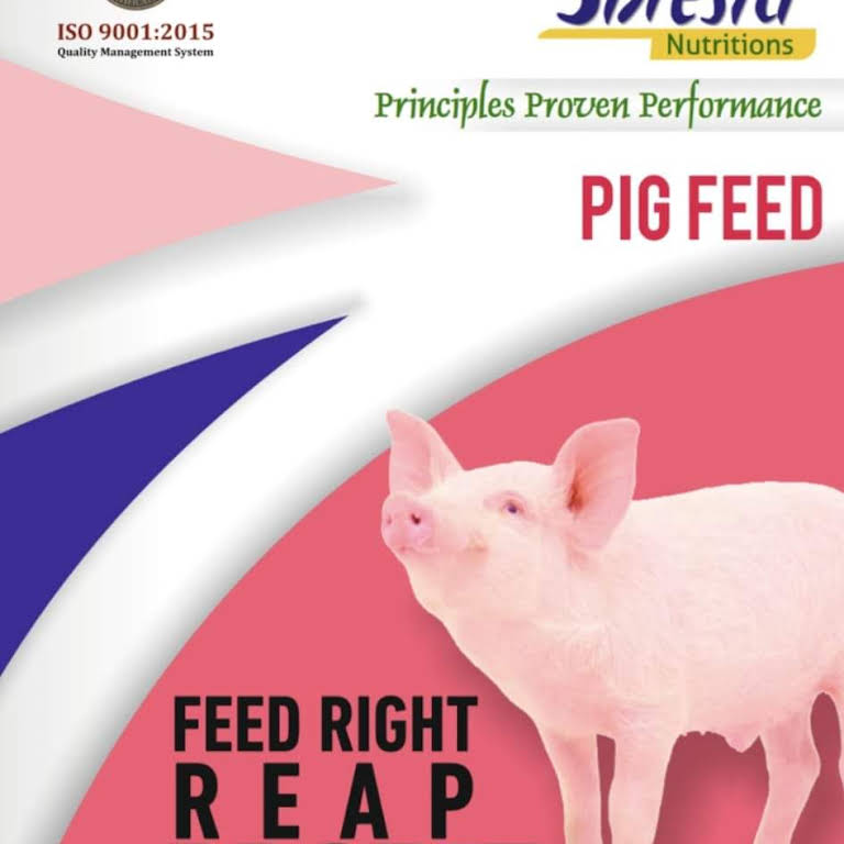 Pig Feed