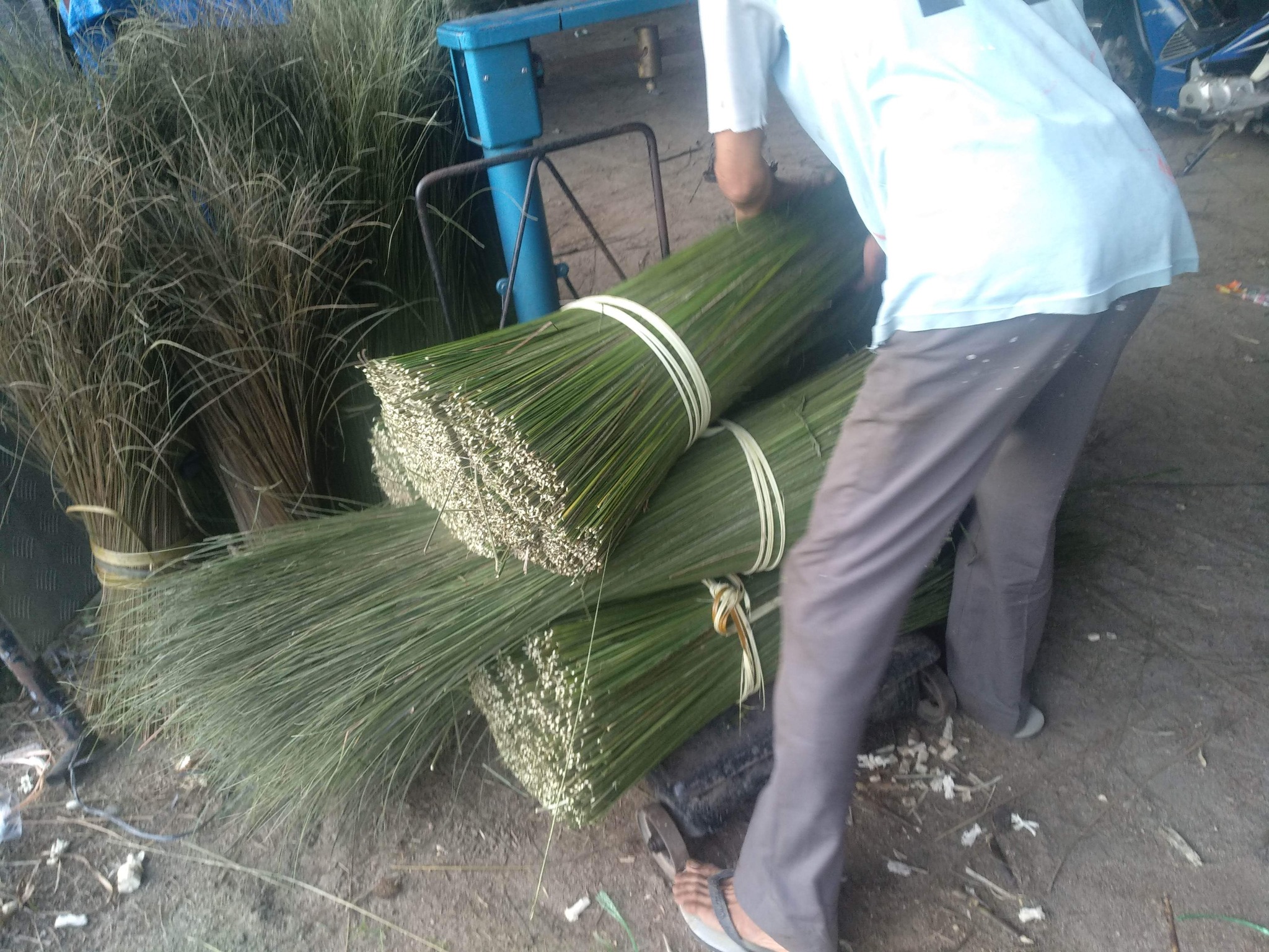 Broomstick Good Quality Palm Ekel