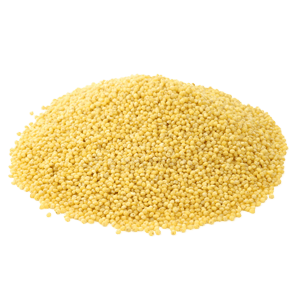 Best Quality Foxtail Millet from GK HERBAL EXPORTS