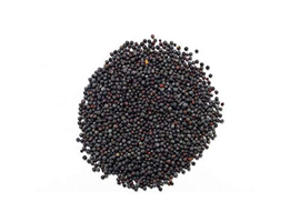 Mustard Black Seeds from PERFETTO NATURALS