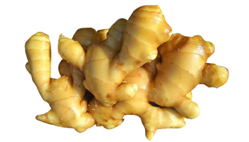 High Quality Naturally Ginger from BOS Natural Flavors P Ltd 