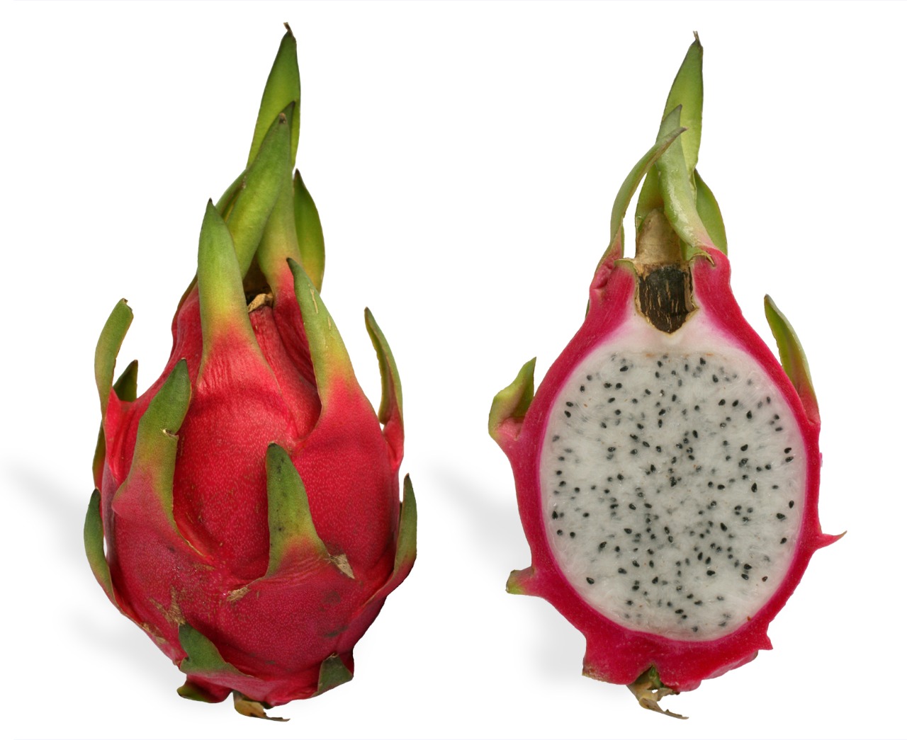 white flesh pink Cover Dragon Fruit From Millennium Grains