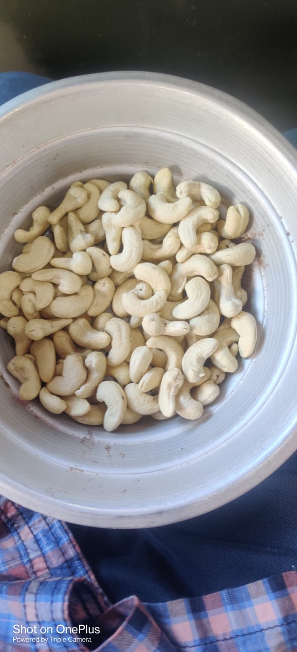 W320 Export quality processed Cashew nuts from RJR Exports