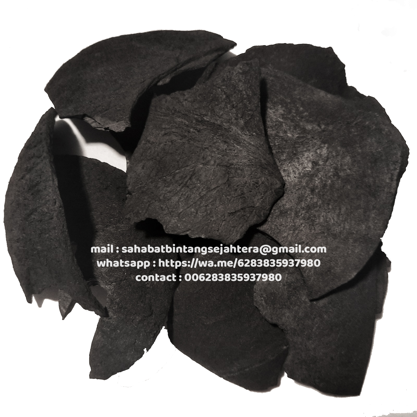 Sell Natural Coconut Shell Charcoal, Natural Palm Kernel Shell Charcoal  from PT SAHABAT BINTANG SEJAHTERA ROJOBRONO sbs.skom.id