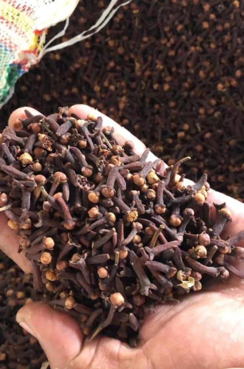 Whole Dry Clove from Delwai International Pvt Ltd................