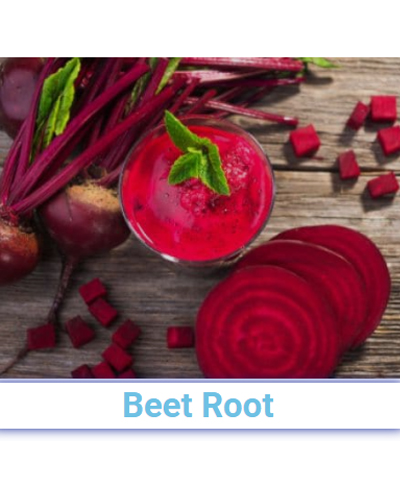 Fresh Beet Root - Pan India from SRG EXIM