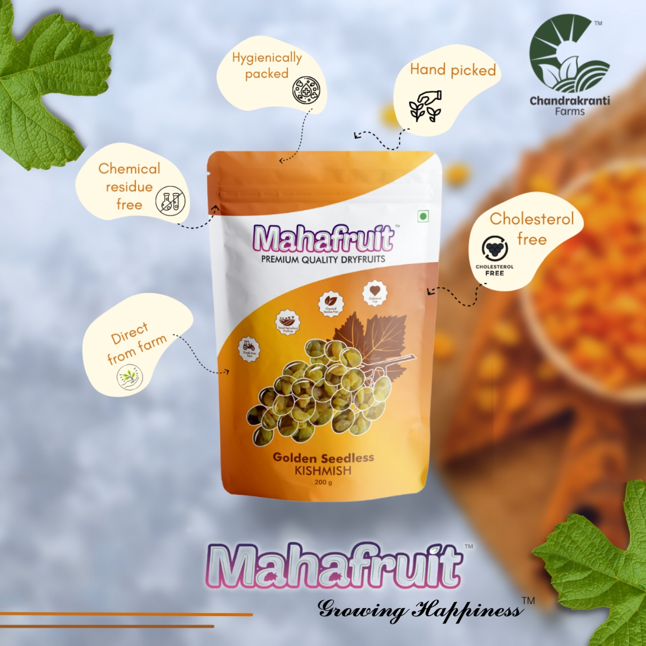 Mahafruit Golden Raisins/Kishmish from Mahafruit - premium quality dryfruits