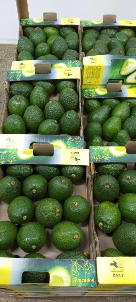 Imported avocado from Para Chichi store 