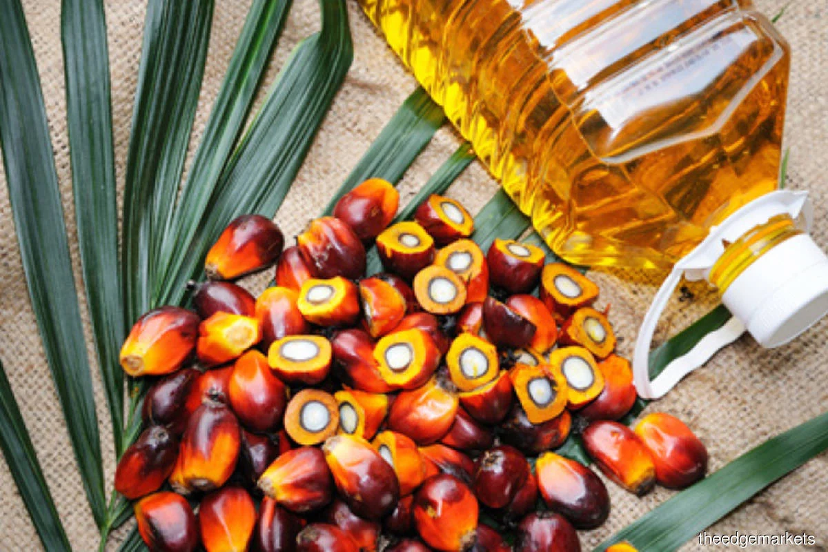 Best Quality Natural Palm oil  from Max & Maxis Global Service Limited 