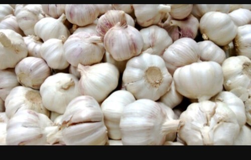 Garlic (Fresh - Bulk Quantity & Export Inquiries Only) from Mithuna Foods