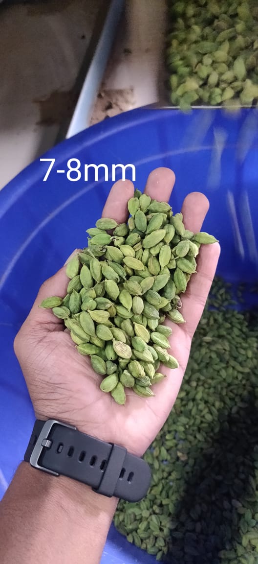 A Grade Green Cardamom 7-8 mm from Spice Wind Traders