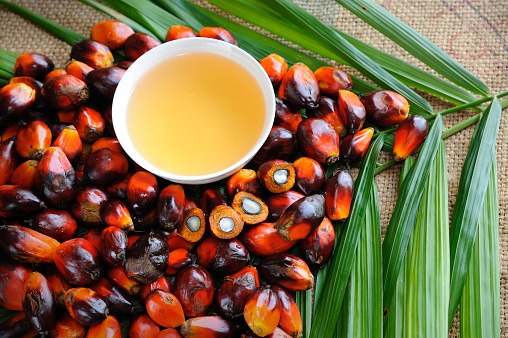 Palm / Palmolein Oil